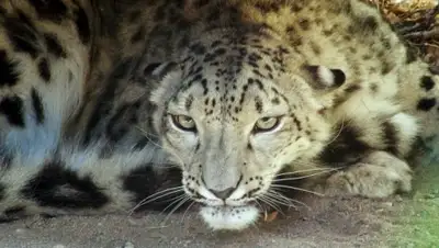 Zakon.kz, фото - Новости Zakon.kz от 13.07.2015 04:42