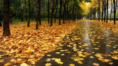 Zakon.kz, фото - Новости Zakon.kz от 17.10.2015 15:01