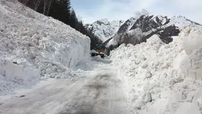 снег, фото - Новости Zakon.kz от 04.04.2022 18:21