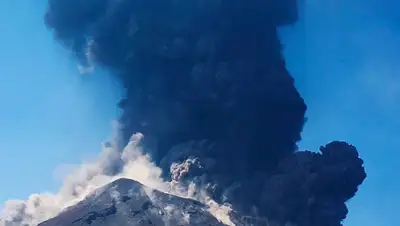 kp.ru, фото - Новости Zakon.kz от 30.08.2019 09:39