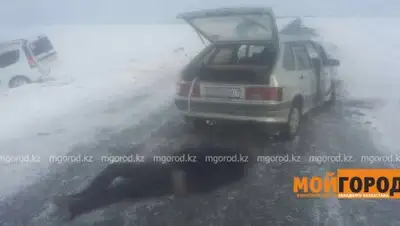 Zakon.kz, фото - Новости Zakon.kz от 12.02.2017 06:14