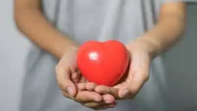 pxhere.com, фото - Новости Zakon.kz от 29.09.2021 09:23