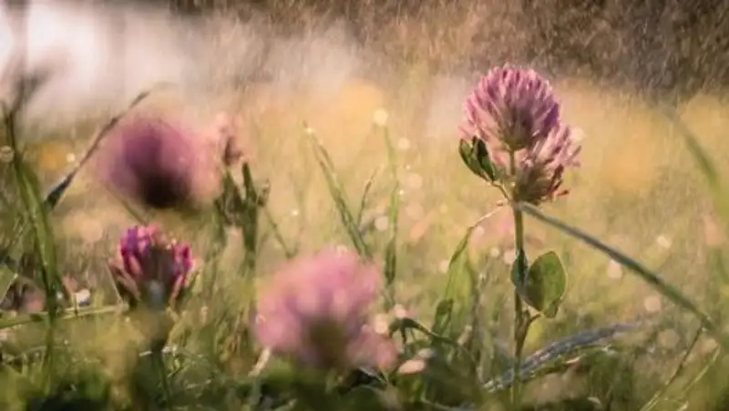 Дожди и туман обещают синоптики в субботу в Казахстане