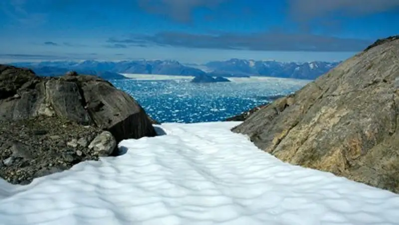 Впервые найдены следы массового вымирания жизни на Земле