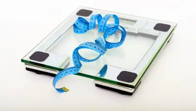 pxhere.com, фото - Новости Zakon.kz от 17.09.2019 17:18