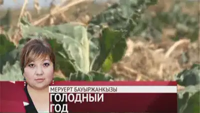 Zakon.kz, фото - Новости Zakon.kz от 14.08.2014 16:02