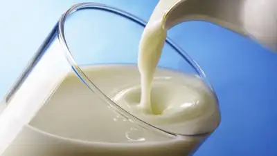 Zakon.kz, фото - Новости Zakon.kz от 23.02.2015 01:27