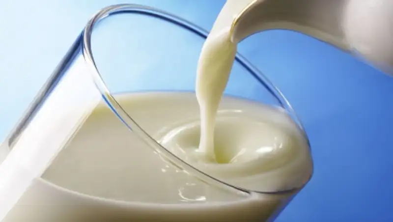 В Костанайской области ферма ежегодно производит 4172 тонны молока