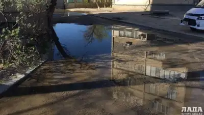 Zakon.kz, фото - Новости Zakon.kz от 25.04.2016 06:15