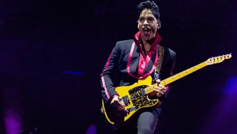 Суд назначил управляющего наследством американского музыканта Принса