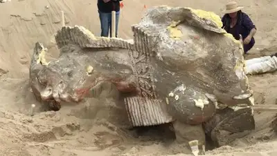 COVER IMAGES, фото - Новости Zakon.kz от 04.12.2017 01:06