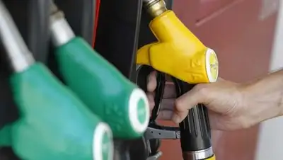 Dikaiologitika, фото - Новости Zakon.kz от 12.04.2018 22:26