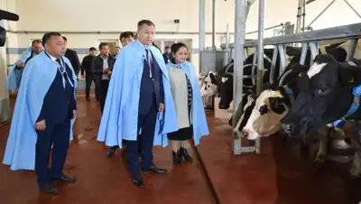 Zakon.kz, фото - Новости Zakon.kz от 21.10.2017 14:48