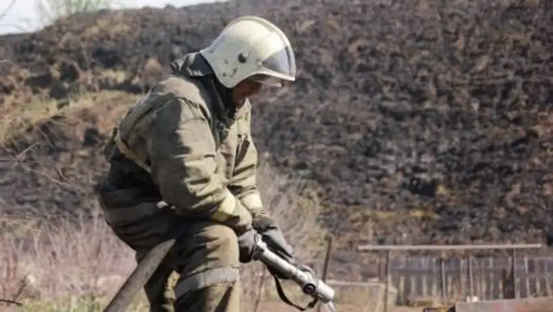 В Риддере локализован лесной пожар