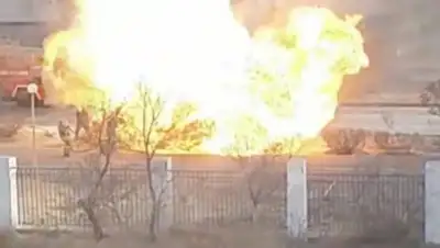 lada.kz, фото - Новости Zakon.kz от 08.12.2018 18:05