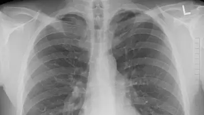 из открытых источников, фото - Новости Zakon.kz от 10.09.2020 09:23