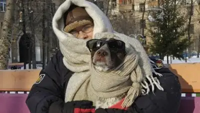 Zakon.kz, фото - Новости Zakon.kz от 11.01.2017 21:22