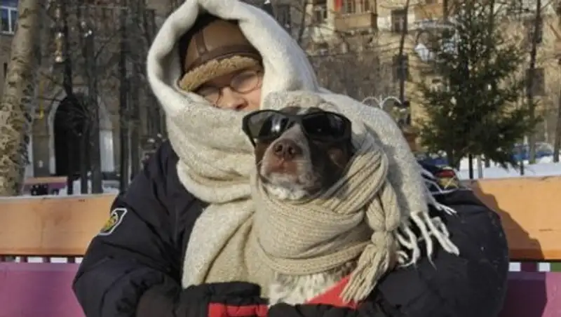 Кратковременное похолодание после прогнозируемых снегопадов обещают синоптики РК