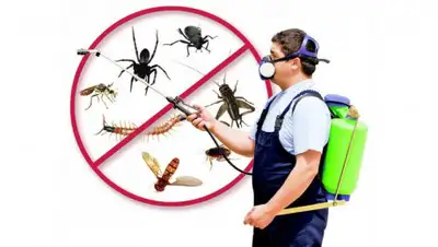 market.kz, фото - Новости Zakon.kz от 20.02.2020 17:23