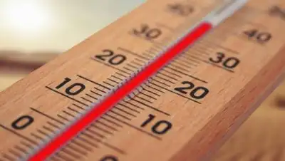 pixabay.com, фото - Новости Zakon.kz от 08.07.2021 16:46