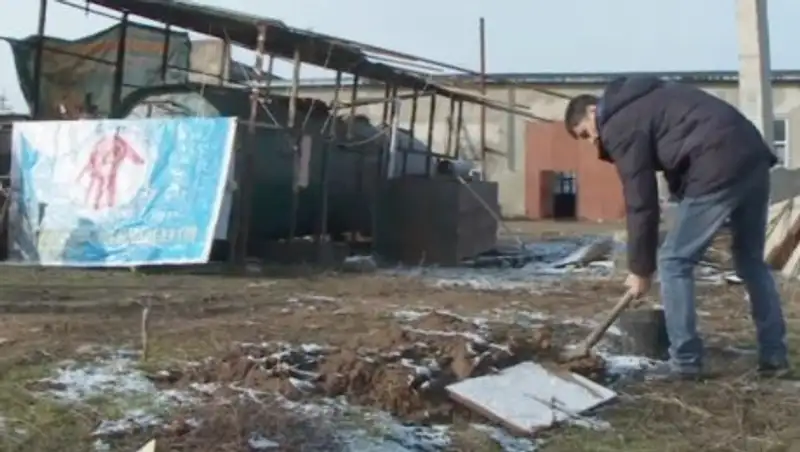 Шымкенттіктер көліктерді малдың қиынан алынған газбен жүргізбек