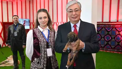 Держит в руках щенка тазы, фото - Новости Zakon.kz от 21.03.2023 21:25