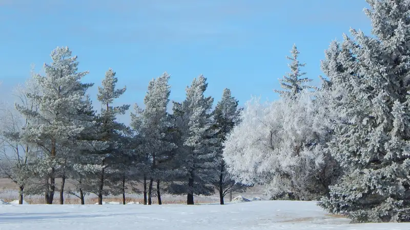 Какой будет погода в Казахстане в последний день января 