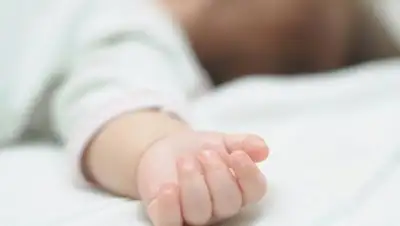 Zakon.kz, фото - Новости Zakon.kz от 05.07.2017 01:27