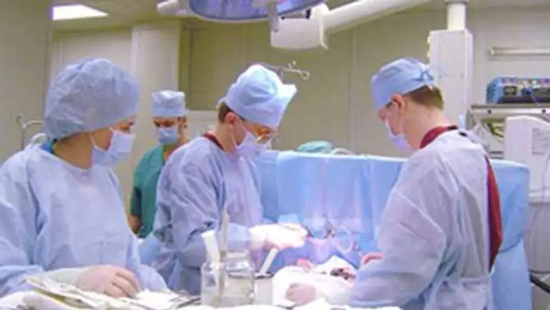 В Австралии научились пересаживать небьющееся сердце