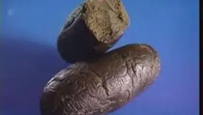 Zakon.kz, фото - Новости Zakon.kz от 30.01.2017 17:34