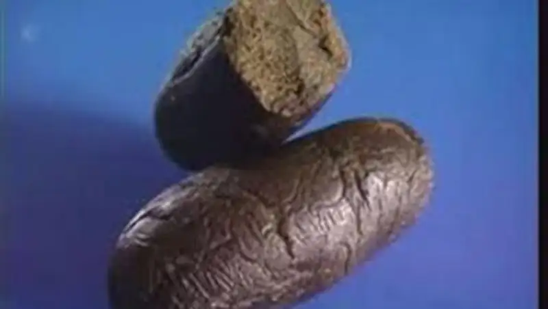 Гражданина Узбекистана с марихуаной в желудке поймали на границе