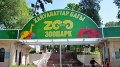 Zakon.kz, фото - Новости Zakon.kz от 27.09.2016 21:47