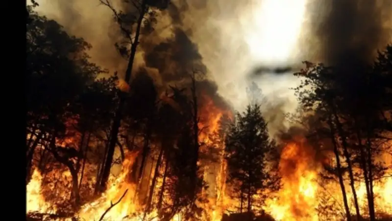 На севере Испании бушуют более 150 пожаров