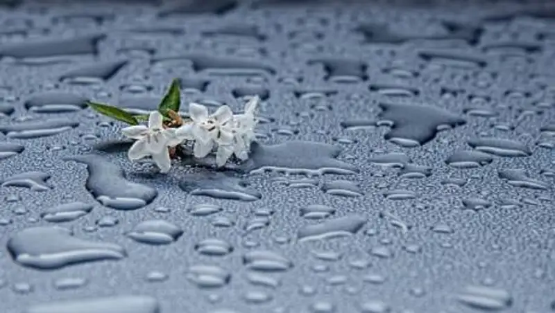 Дождь с грозой ожидаются в Казахстане