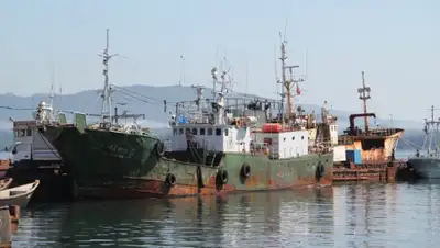 Quantrimang.com, фото - Новости Zakon.kz от 24.07.2019 01:00