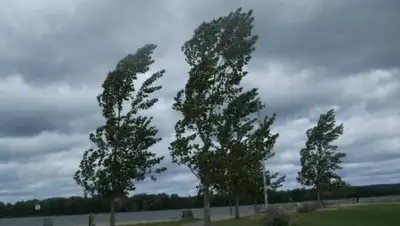 из открытых источников, фото - Новости Zakon.kz от 21.08.2018 15:21