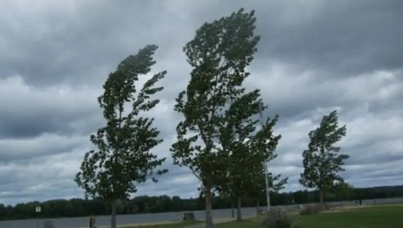 Штормовое предупреждение объявили в ряде областей Казахстана