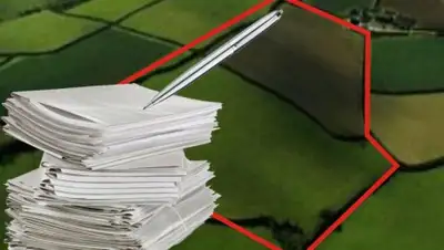 zemlea.ru, фото - Новости Zakon.kz от 07.08.2018 22:35