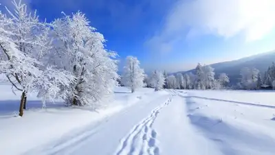 Zakon.kz, фото - Новости Zakon.kz от 14.02.2016 12:00