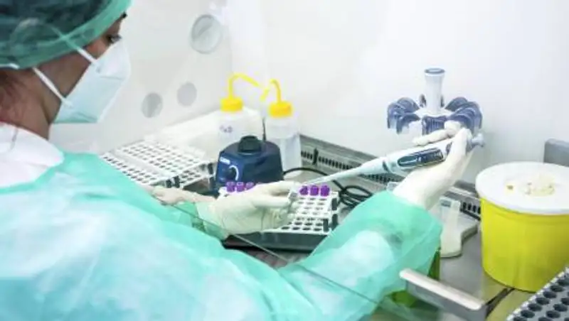 Ученый рассказал, как остановить мутации коронавируса