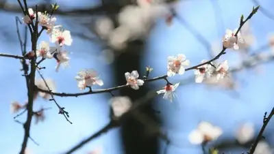 Zakon.kz, фото - Новости Zakon.kz от 21.03.2016 16:50