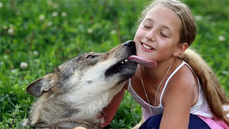 Лучшие фотографии животных со всего мира за неделю
