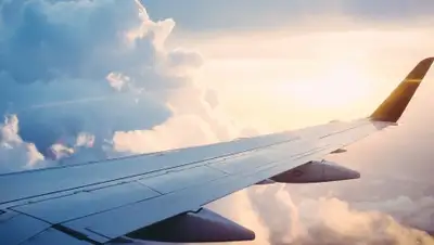 Pixabay, фото - Новости Zakon.kz от 20.07.2020 18:25