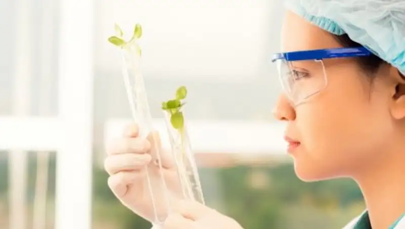 Казахстанским ученым окажут поддержку и поспособствуют коммерциализации их разработок