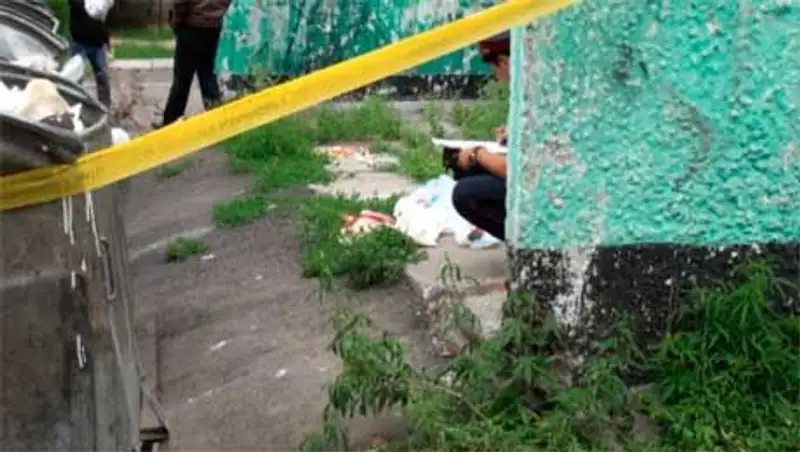 Парень убил родную сестру и выбросил труп в мусорный контейнер в Шымкенте