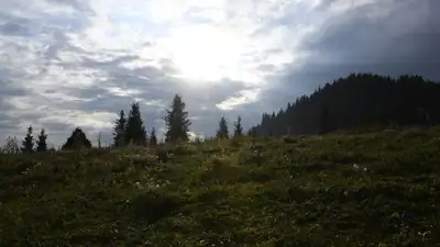 Алматинский тик-токер пропал в горах Жетысуской области, фото - Новости Zakon.kz от 08.06.2023 11:18