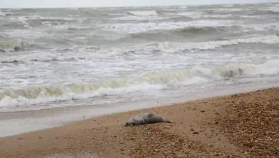 ТАСС, фото - Новости Zakon.kz от 06.05.2021 16:09