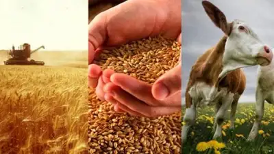 24.kz, фото - Новости Zakon.kz от 05.10.2018 17:21