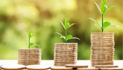 Рост денег, фото - Новости Zakon.kz от 25.08.2022 12:08