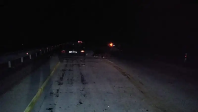 Лошадь, темнота: 70-летний мужчина погиб на трассе Алматы - Хоргос